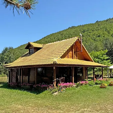 Woodhouse Xirolivadon