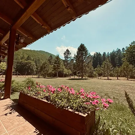 Woodhouse * Xirolivadon