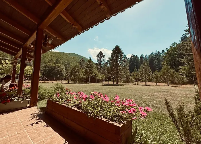 Woodhouse * Xirolívadon